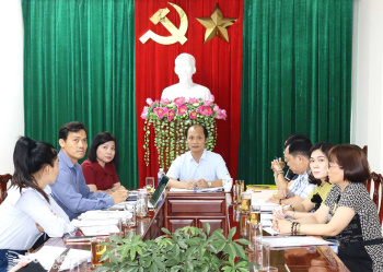 Chuẩn bị tốt các điều kiện tổ chức Lễ hội Quả điều vàng