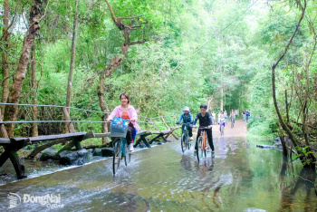 Dong Nai’s “green gold” fuels sustainable development