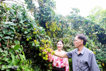 Dong Nai rolls out tourism stimulus program