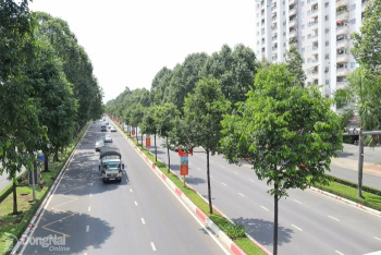 Dong Nai's road to a US$920 billion economy
