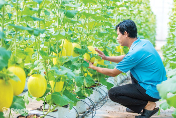 Dong Nai sets ambitious targets for new-style rural development