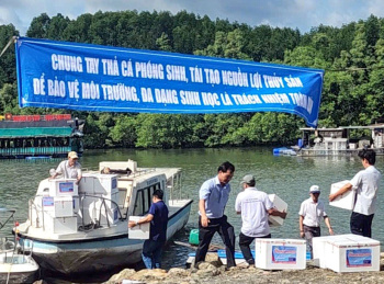 Thả hơn 100 ngàn giống tái tạo nguồn lợi thủy sản xuống sông Đồng Tranh, xã Phước An
