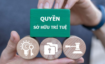 Kết luận của Bộ Chính trị về đẩy mạnh công tác sở hữu trí tuệ phục vụ phát triển kinh tế - xã hội trong tình hình mới