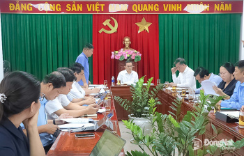 Lập chi tiết tiến độ thực hiện các dự án thúc đẩy phát triển kinh tế - xã hội tại một số xã, phường trên địa bàn Đồng Nai