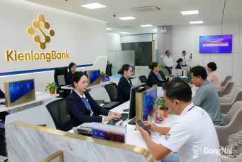 Dong Nai supports business households in digital transformation