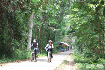 Cat Tien National Park leases forest environment for tourism development