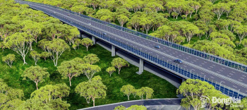 Tuyến đường đi xuyên rừng nguyên sinh đặc biệt