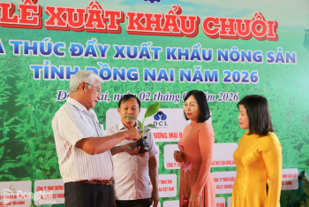 Giống chất lượng cao cho nông sản xuất khẩu