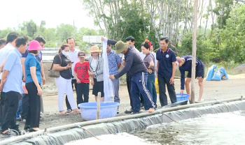 Hội Nông dân Cần Thơ học tập mô hình nông nghiệp bền vững tại Đồng Nai