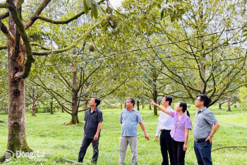 Accompanying farmers in developing modern agriculture