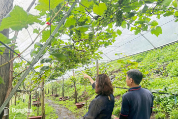 Developing smart agriculture linked with eco-tourism
