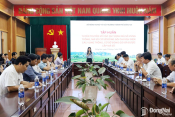 Đồng Nai tập huấn quy định mới về mã số vùng trồng, đóng gói xuất khẩu