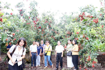 Helping farmers master cultivation techniques