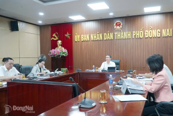 Đồng Nai xây dựng Đề án Phát triển thể thao thành tích cao...