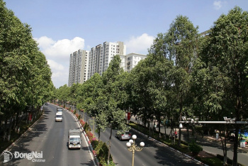 Luật Phát triển đô thị: Mở rộng không gian đô thị hiệu quả, bền vững