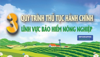 [Infographic]  Quy trình điện tử giải quyết thủ tục hành...