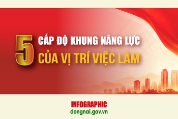 [Infographic]  Khung năng lực và cấp độ vị trí việc làm