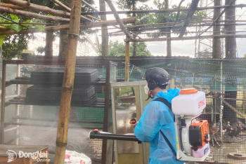 Sốt xuất huyết diễn biến phức tạp, nguy cơ bùng phát diện...