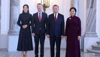 Tổng Bí thư, Chủ tịch nước Tô Lâm hội kiến Nhà vua Đan Mạch Frederik X