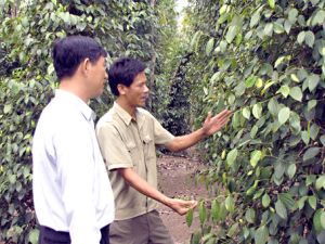 Chào mừng huyện Xuân Lộc và thị xã Long Khánh đón nhận danh hiệu nông thôn mới: “Cuộc chơi” lâu dài