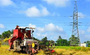 Long Khánh đạt chuẩn nông thôn mới: Hướng đến Nông thôn văn minh, giàu đẹp