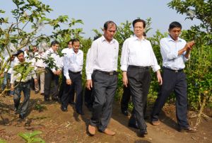 ​Long Khánh: Thị xã nông thôn mới đầu tiên