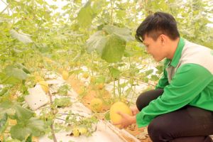 Nâng chuẩn cho nông thôn mới