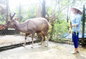 Kết nối du lịch với vùng đặc sản