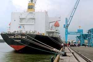 Rà soát hệ thống cảng ở Đồng Nai