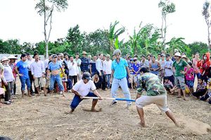 Nâng cao hiệu quả thiết chế văn hóa cơ sở