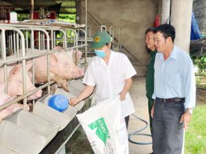 Cựu chiến binh góp sức cho mùa xuân mới