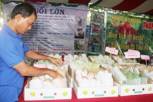 Đón cơ hội xuất khẩu nông sản