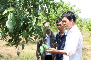 Tuổi trẻ Xuân Lộc: Góp sức xây dựng nông thôn mới kiểu mẫu