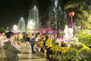 Nhiều hoạt động văn hóa, giải trí trong dịp tết