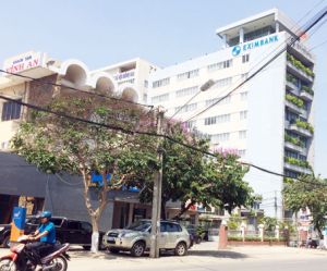 Biên Hòa đề xuất thay mới cây xanh trên đường Hà Huy Giáp