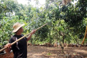 ​Chủ động ứng phó trước thiên tai