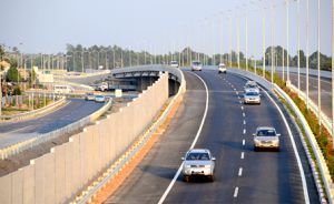 Thông đường đón tết