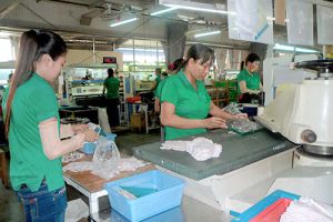 Công đoàn nỗ lực nâng cao thu nhập cho công nhân