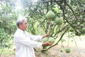 Huyện Vĩnh Cửu: Đề xuất chuyển đổi gần 1 ngàn hécta đất lúa