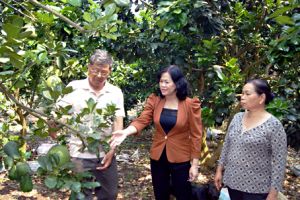 Phụ nữ Đồng Nai chủ động hội nhập