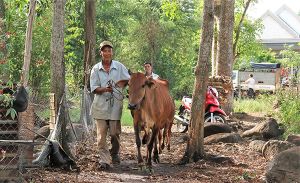 Tất bật vận động quà tết cho người nghèo