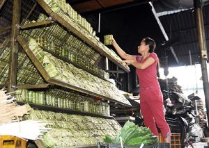 Sôi động làm hàng Tết