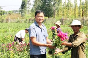 Xuân về trên mọi nẻo đường quê