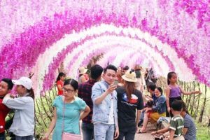 Náo nức chợ hoa, đường hoa