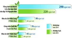 Xuân Kỷ Hợi vui tươi, rộn ràng