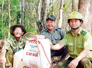 Chủ động phòng, chữa cháy rừng mùa khô