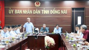 Khẩn trương bàn giao mặt bằng các dự án điện trong tháng 3