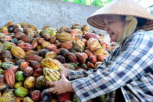 Chương trình mỗi xã một sản phẩm: Sức bật cho nông thôn mới