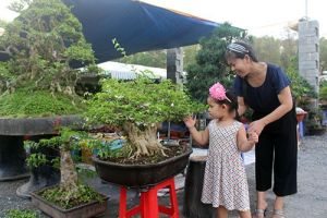 Đi chợ phiên sinh vật cảnh Trấn Biên