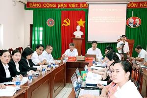 Triển khai hệ thống quản lý tổ chức và hoạt động trợ giúp pháp lý